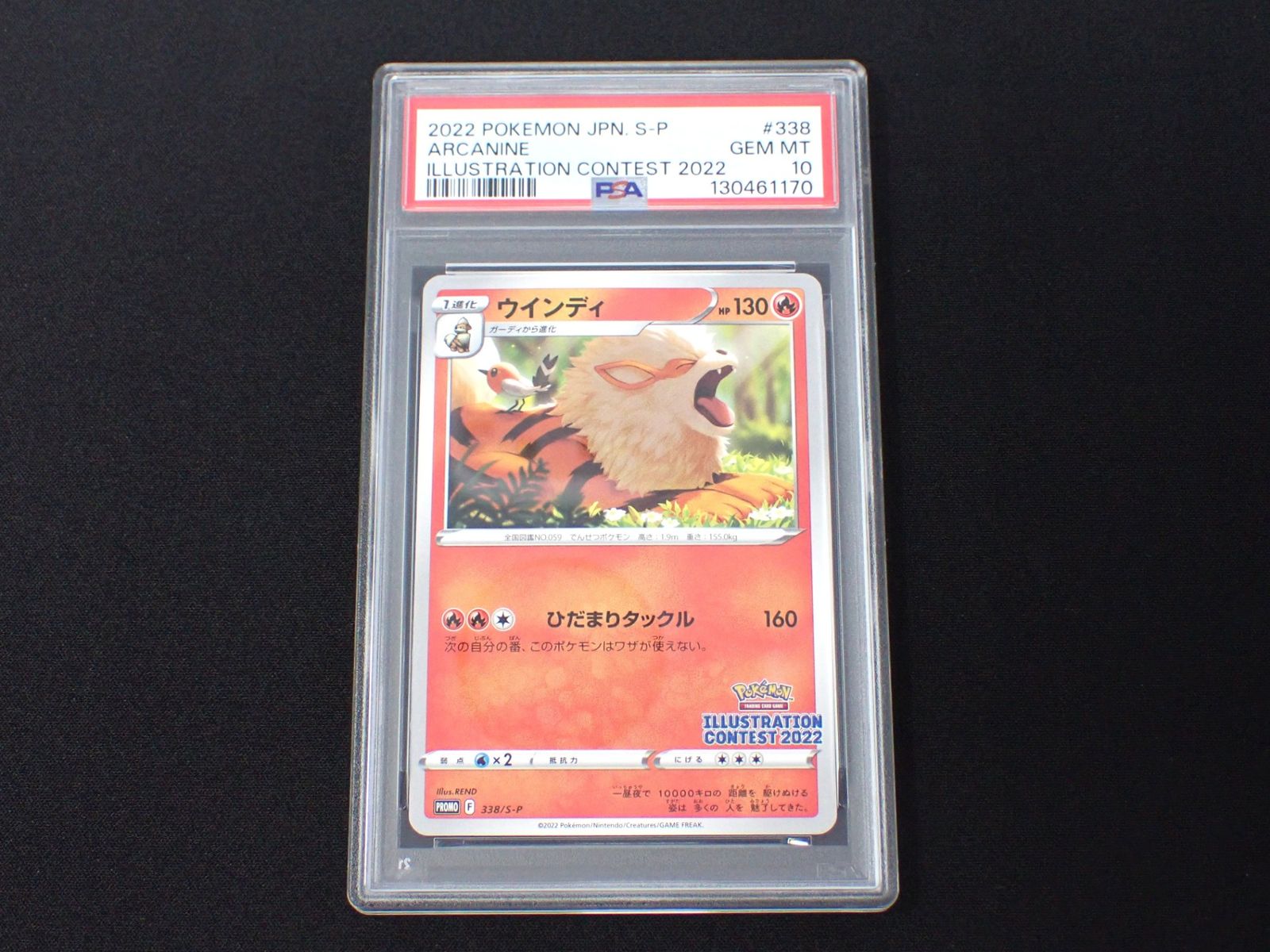 PSA10 フシギダネ ウィンディ ゲッコウガ 3連番 イラストレーション