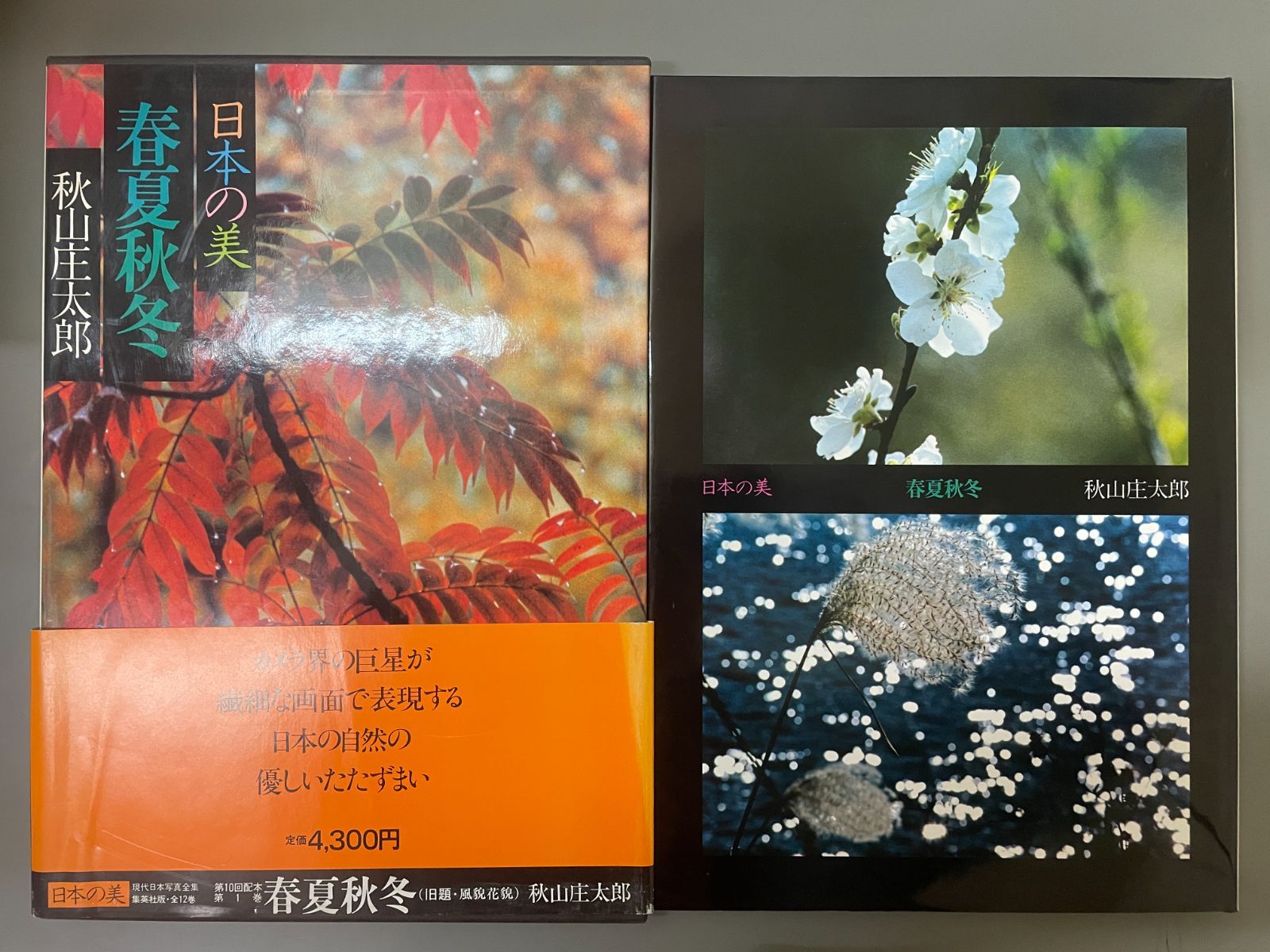 現代日本写真全集 第1巻 春夏秋冬【日本の美】 - メルカリ