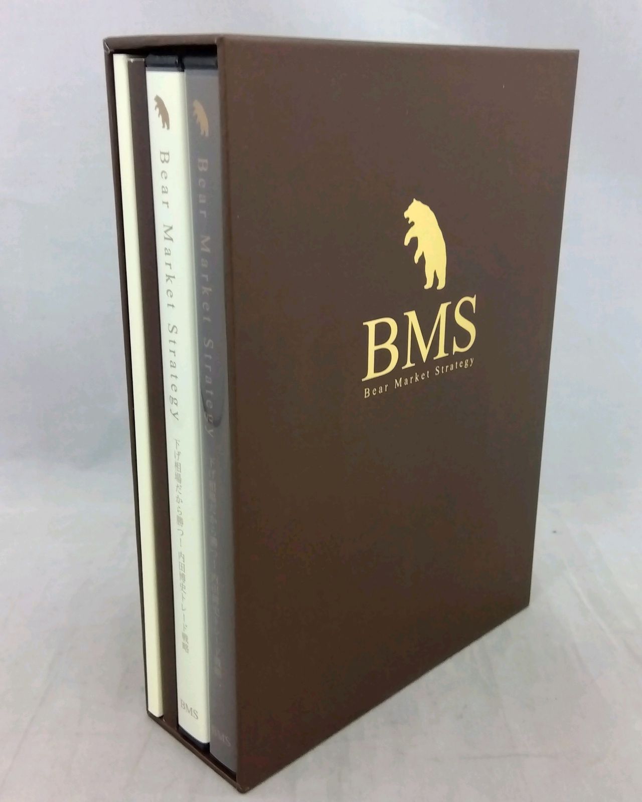 BMS Bear Market Strategy ベアマーケットストラテジー 下げ相場だから