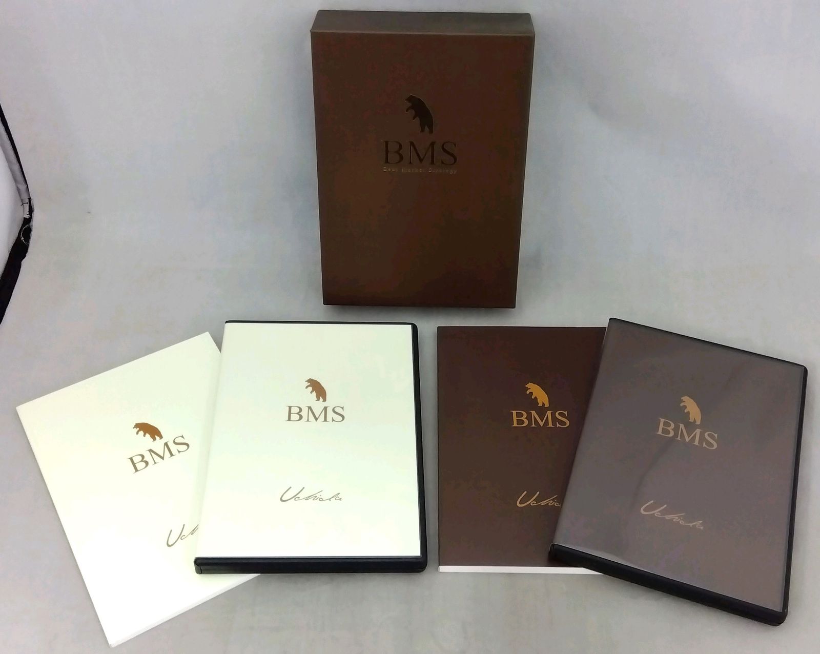 BMS ベアマーケットストラテジー 下げ相場だから勝つ！内田トレード戦略 BMS Bear Market Strategy ベアマーケットストラテジー 下げ相場だから