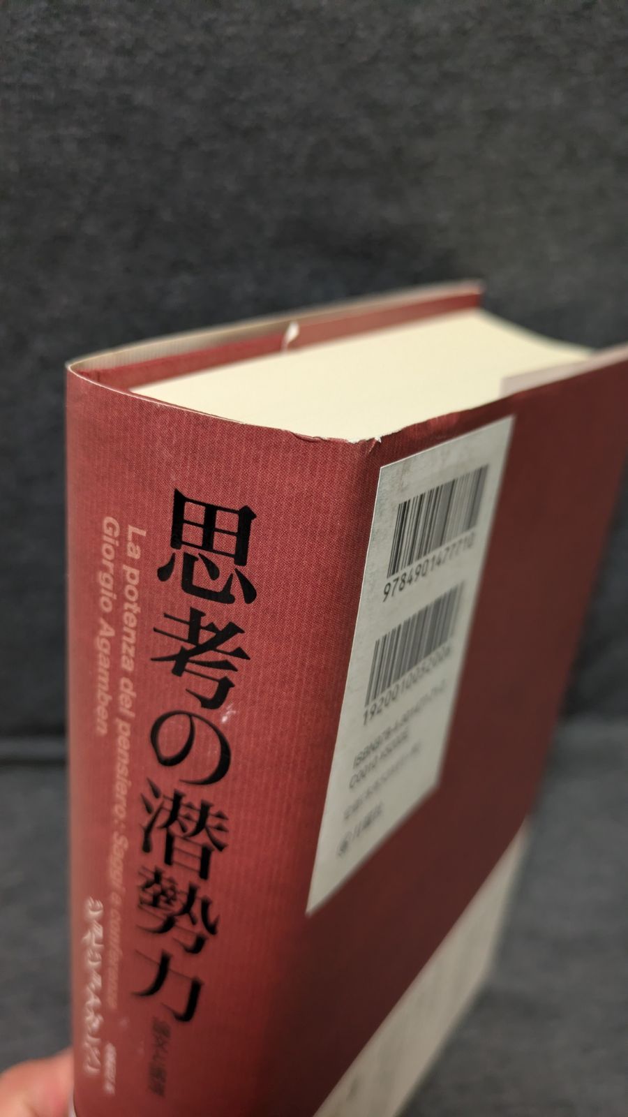 思考の潜勢力 論文と講演 (ジョルジョ・アガンベン/高桑和巳訳/月曜社