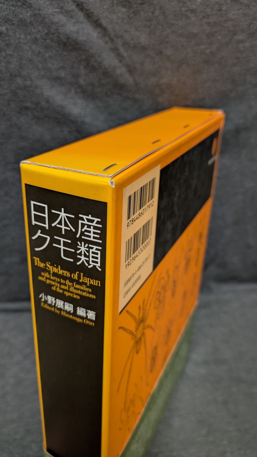 日本産クモ類 (小野展嗣編著/東海大学出版会) - メルカリ