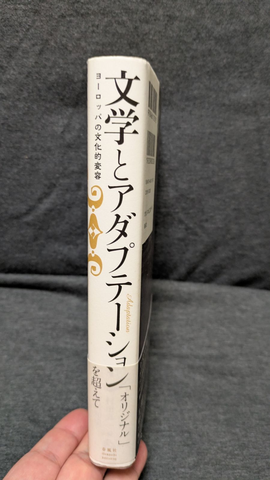 文学とアダプテーション ヨーロッパの文化的変容 (小川公代・村田真一