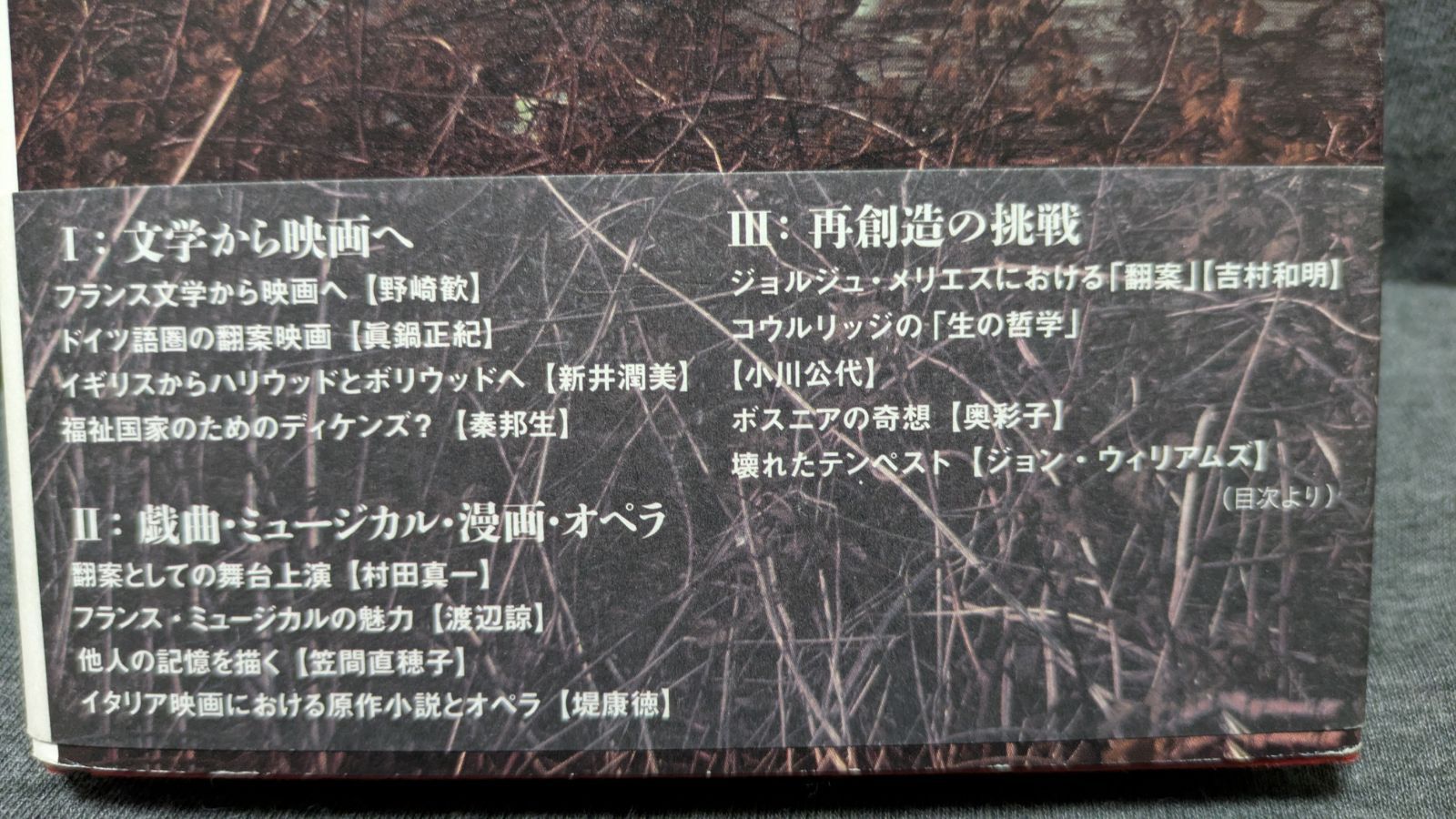 文学とアダプテーション ヨーロッパの文化的変容 (小川公代・村田真一
