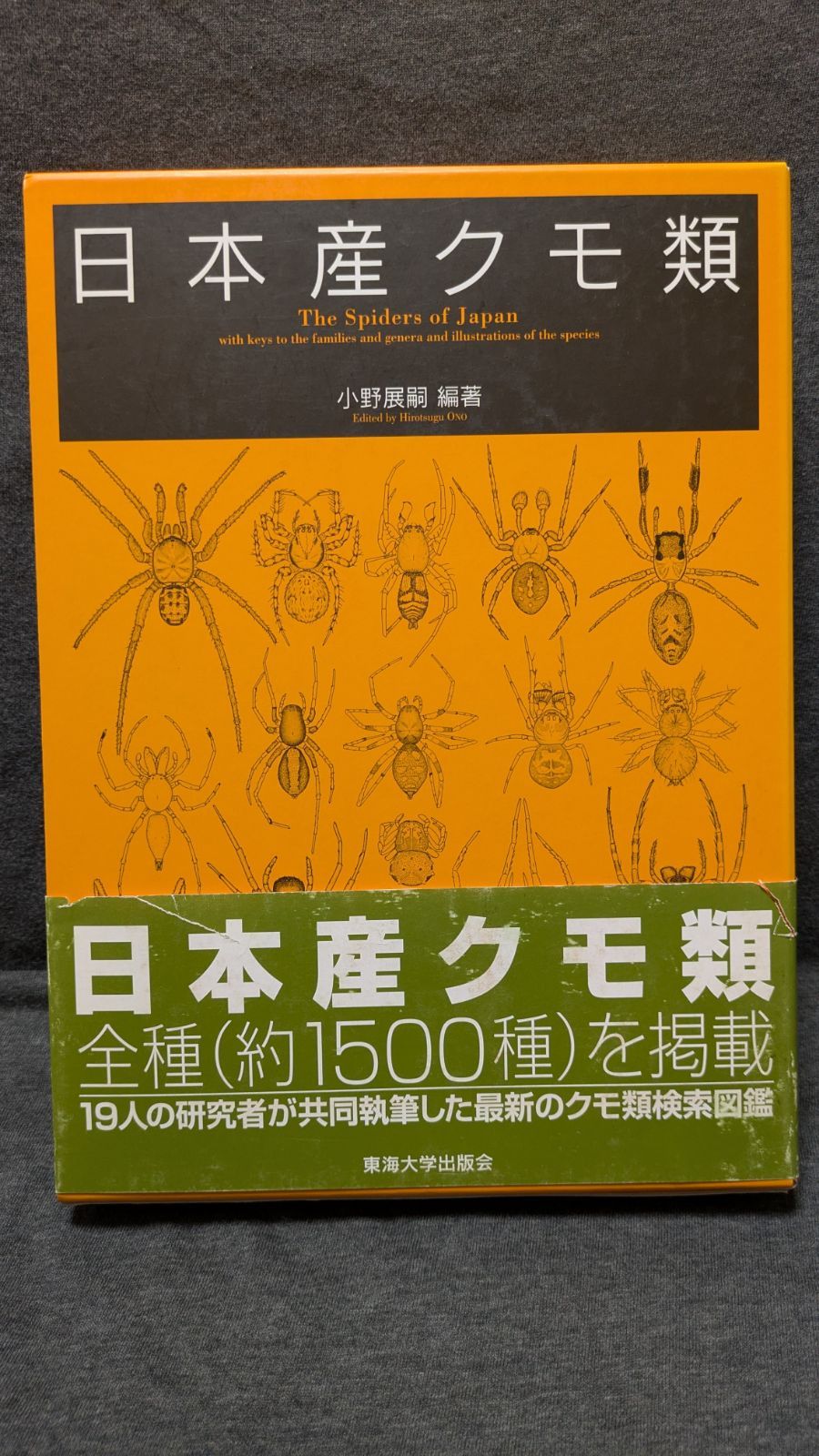 日本産クモ類 日本産クモ類 (小野展嗣編著/東海大学出版会) - メルカリ