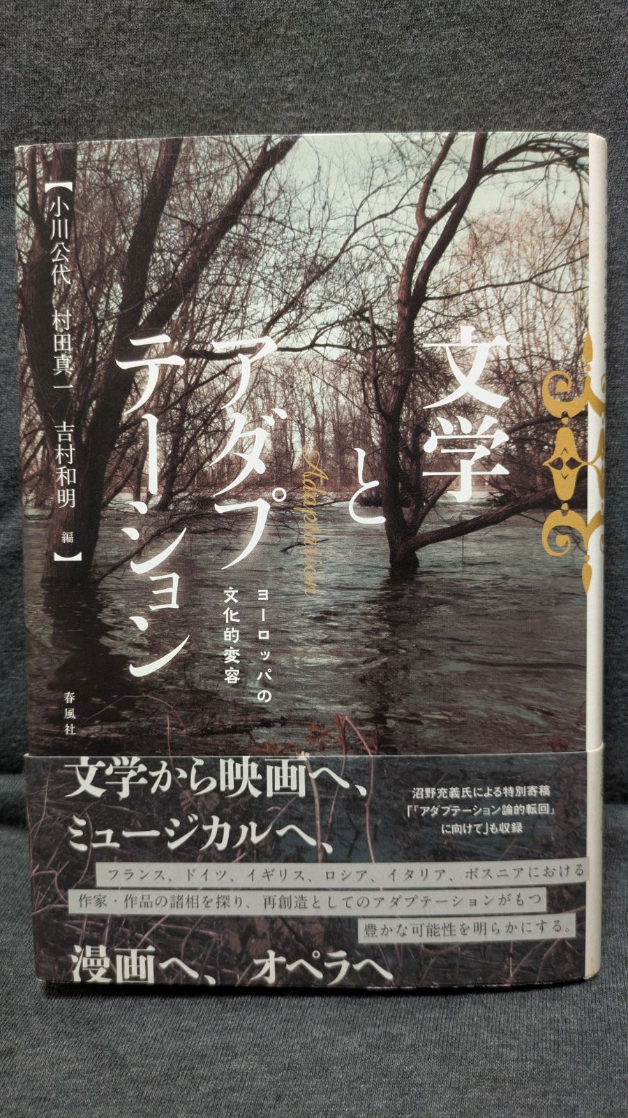 文学とアダプテーション ヨーロッパの文化的変容 (小川公代・村田真一