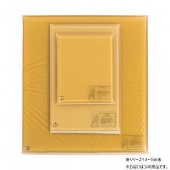 アクション・ジャパン 平状アクションパッド　大 40404
