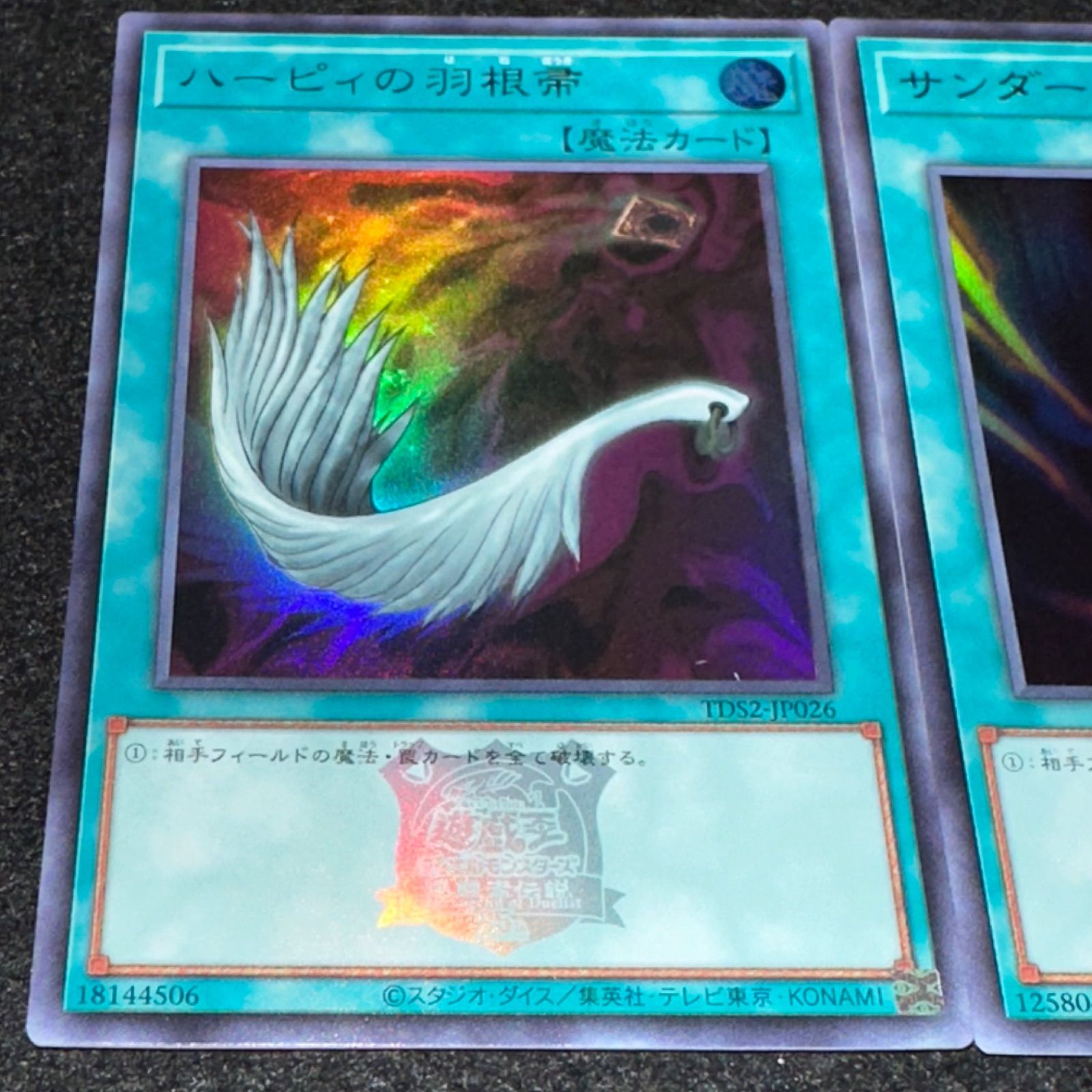遊戯王　サンダーボルト、ハーピィの羽根箒　25thシークレットレアセット 遊戯王 サンダーボルト、ハーピィの羽根箒 25thシークレットレアセット