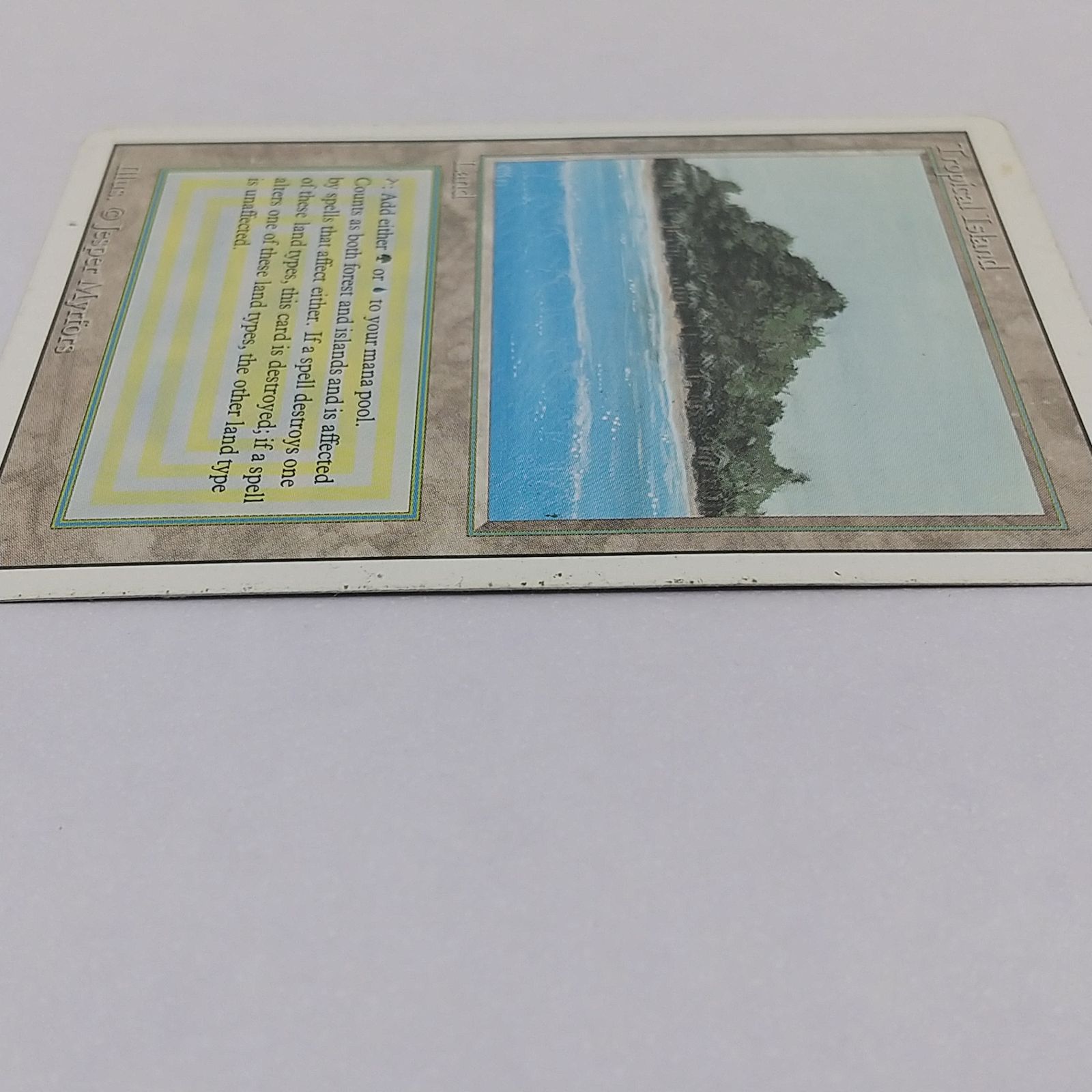 MTG 金枠 Tropical  CE トロピカルアイランド 1枚 Amazon.co.jp: PSA鑑定品MTG Tropical Island トロピカルアイランド