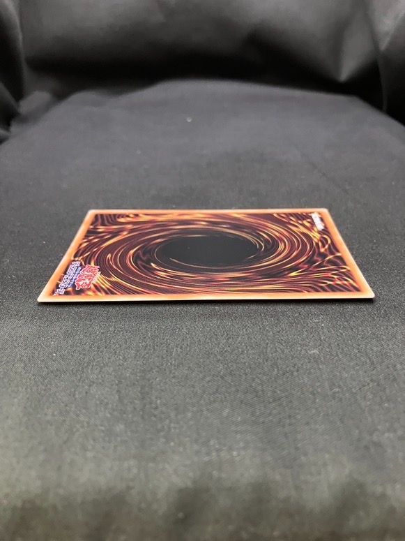 遊戯王OCG デュエルモンスターズ 聖域に仕えし練達の魔導師 エクストラ