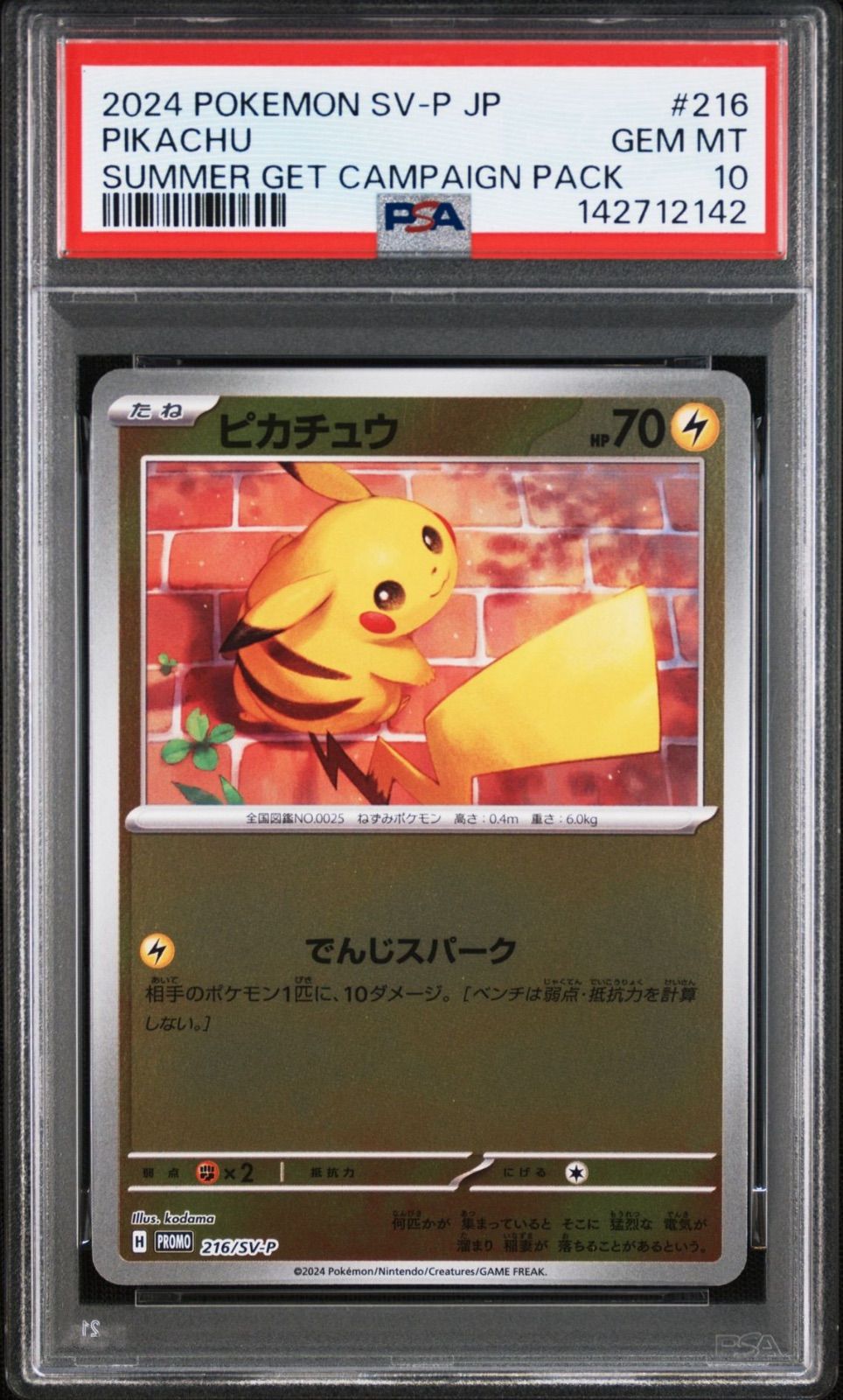 ポケモンカード ピカチュウ 216/SV-P psa10【連番】 状態B〕ピカチュウ【P】{216/SV-P}