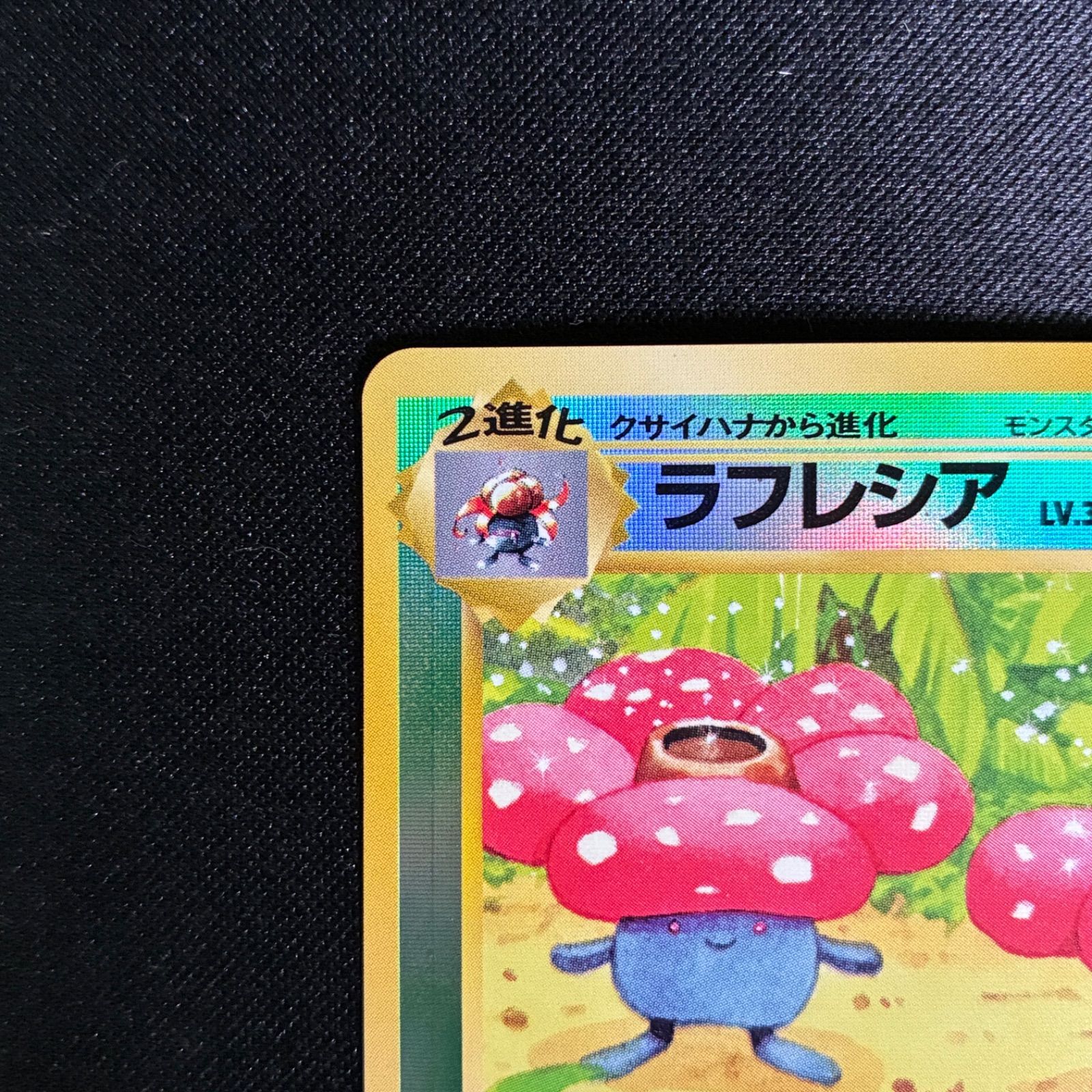 【美品】ラフレシア サザンアイランド 旧裏 状態A ラフレシア 旧裏 映画公開記念パック サザンアイランド プロモ