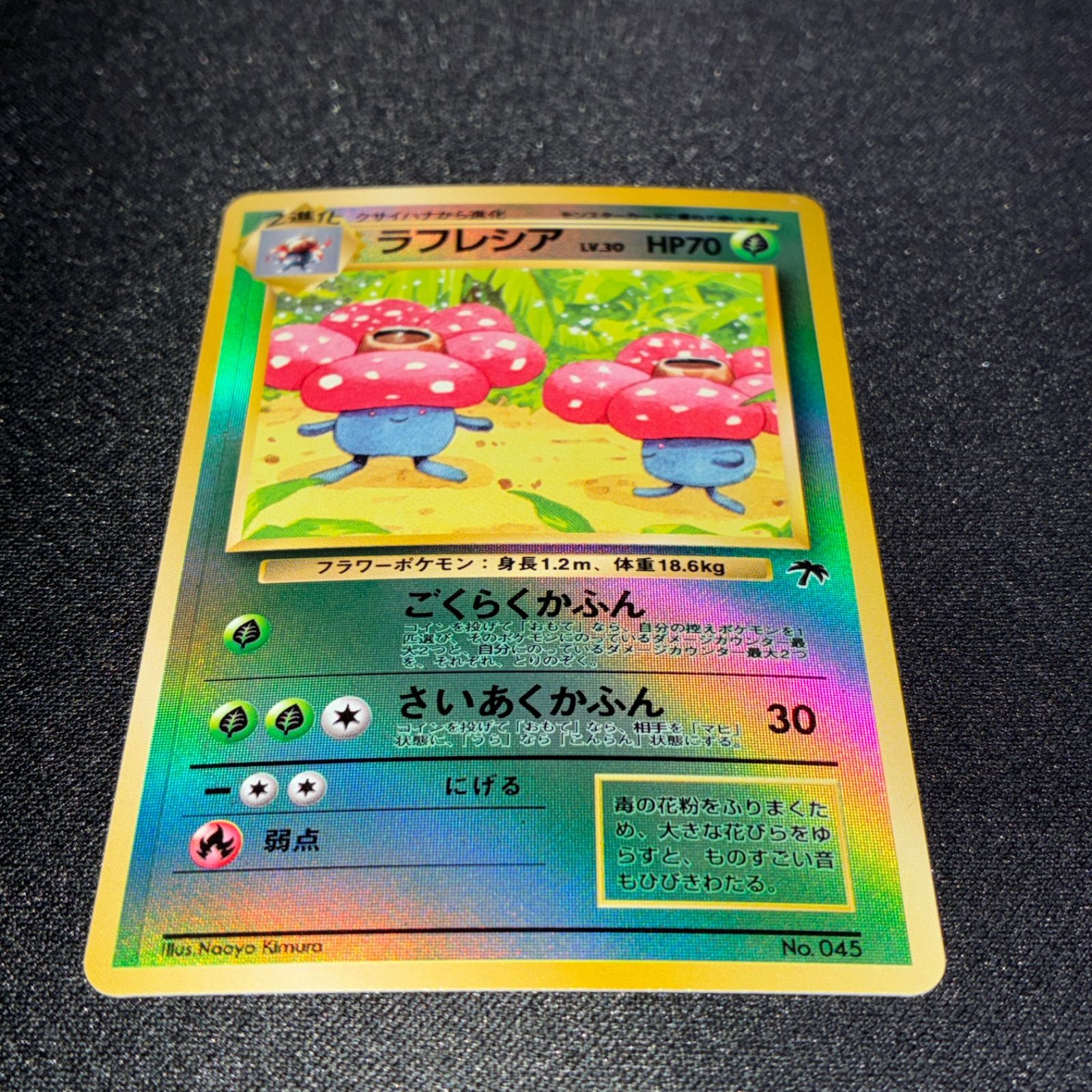 【美品】ラフレシア サザンアイランド 旧裏 状態A ラフレシア 旧裏 映画公開記念パック サザンアイランド プロモ