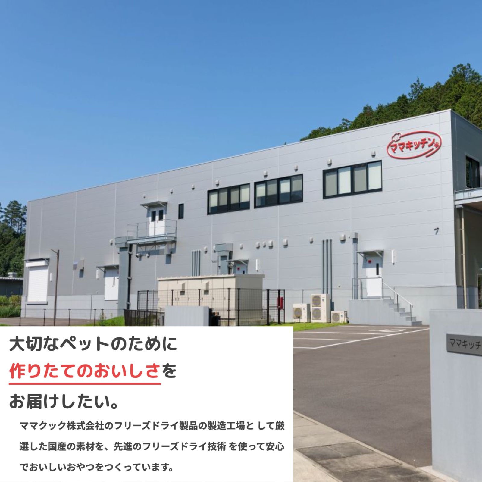 【15袋セット】ママクック 犬用 大容量 レバーミックス フリーズドライ 無添加 国産 犬 おやつ 120g×15袋