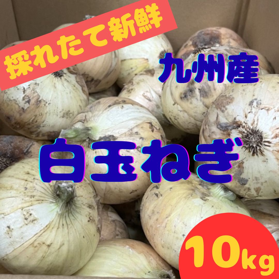 九州産サラダ玉ねぎ 10kg 送料無料＊産直 - メルカリ