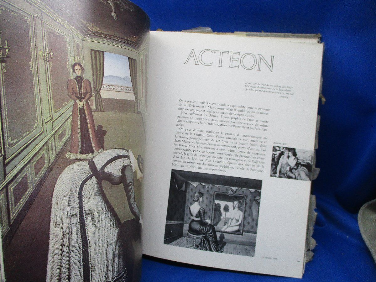 ポール・デルヴォー 画集 カタログレゾネ Delvaux Catalogue de l