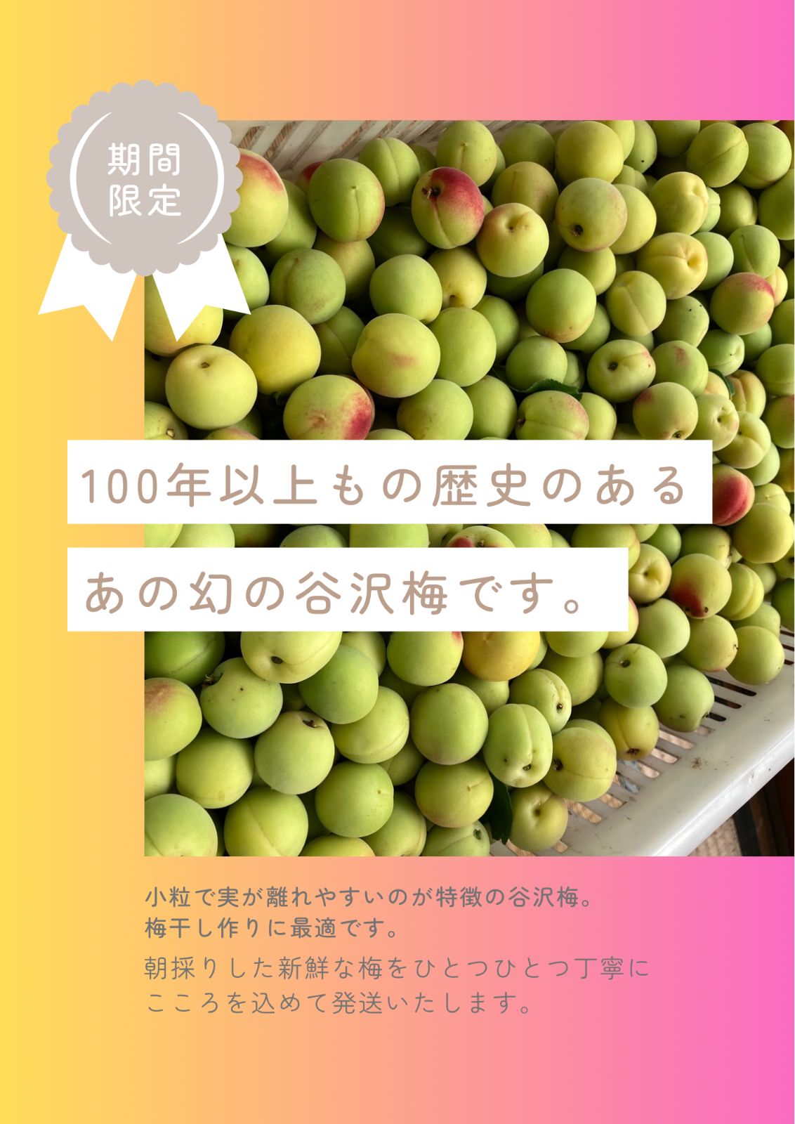 農薬不使用】山形県産 幻の谷沢梅 3kg MLサイズ - メルカリ
