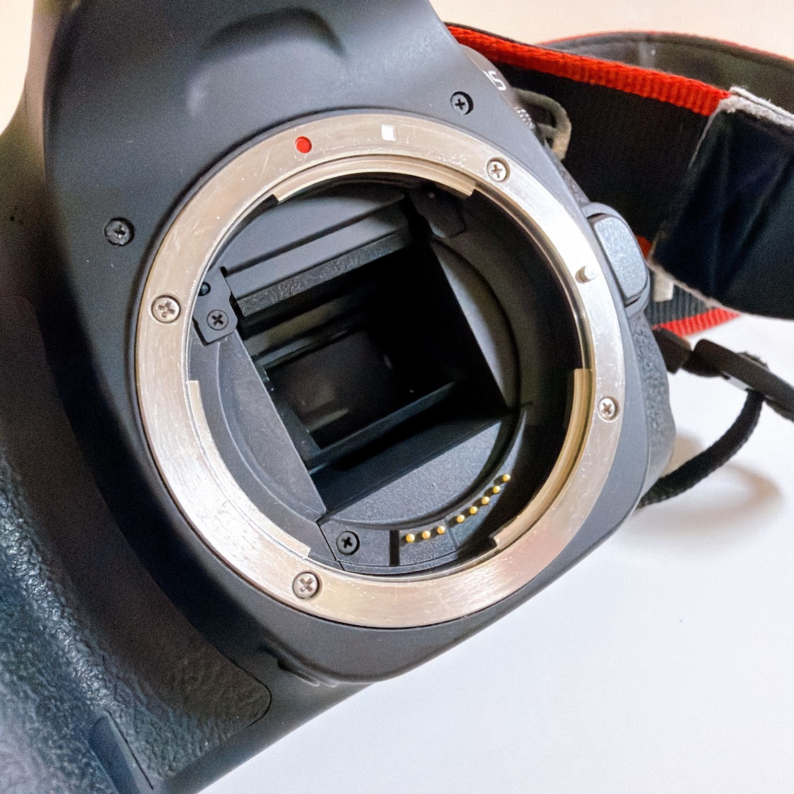 Canon EOS 80D (W) カメラ 一眼レフ 起動確認済み レンズ、SDカード