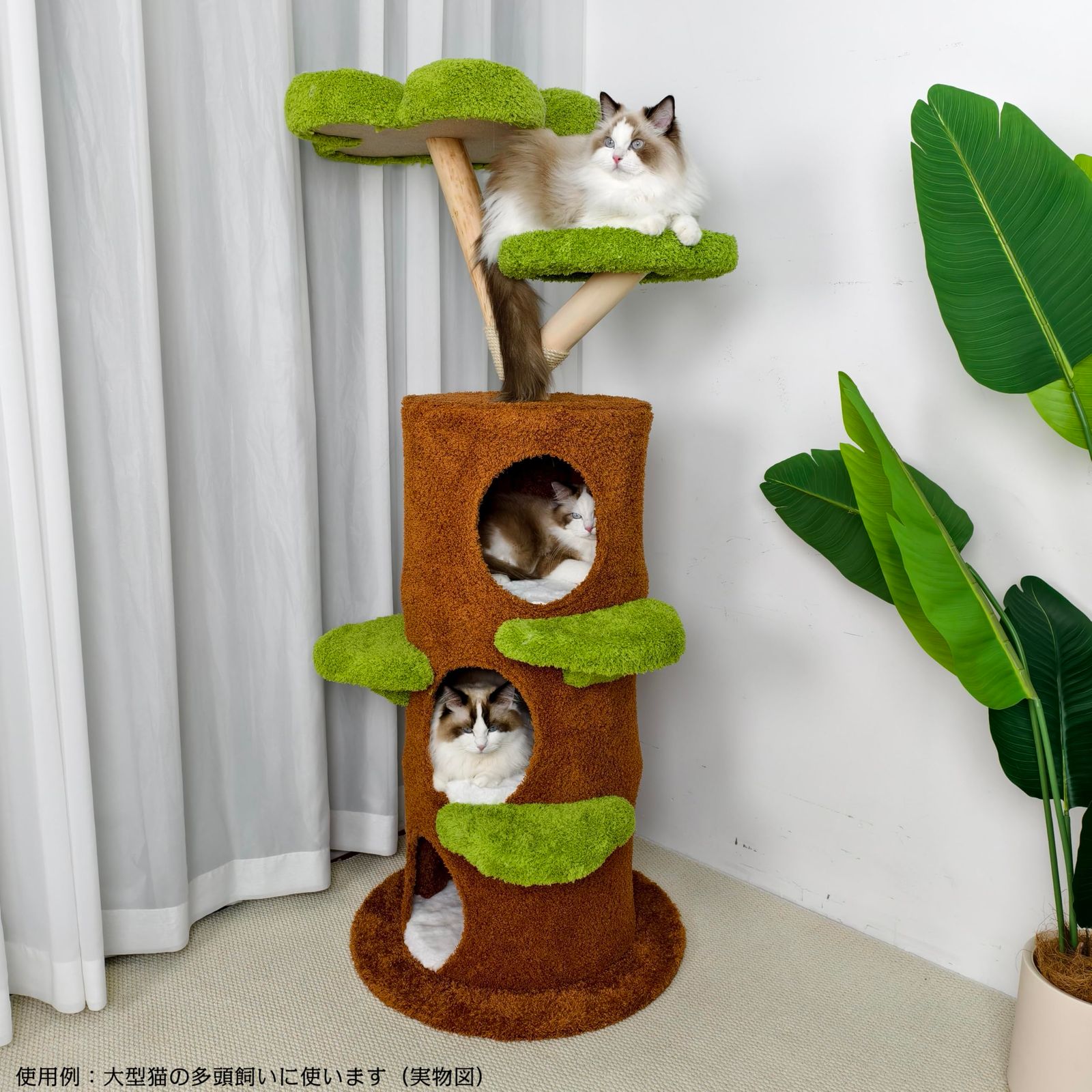 BingoPaw キャットタワー 大型猫用 木製 猫タワー 多頭飼い おしゃれ