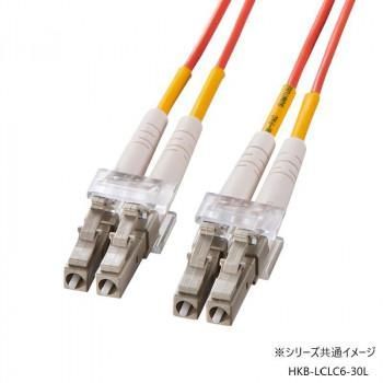 サンワサプライ メガネ型光ファイバケーブル マルチ62.5μm LC×2-LC×2 30m HKB-LCLC6-30L