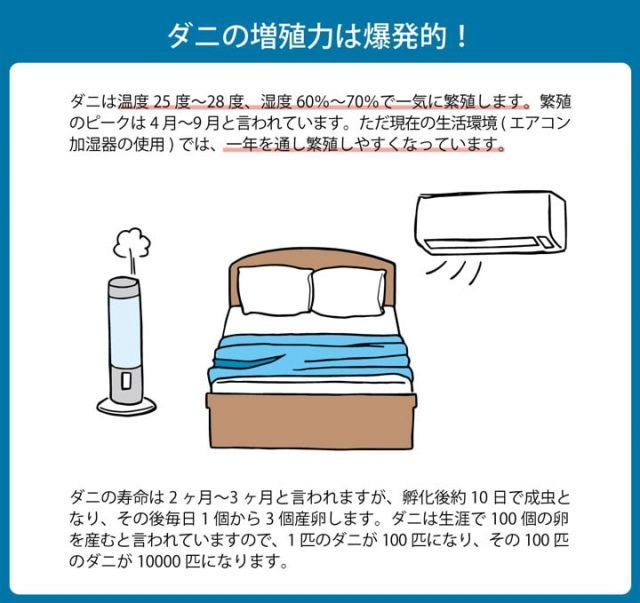 寝具 清潔 快適 敷き布団 ダニ増殖抑制 日本製 無地 シンプル シングルロング 約100×210cm