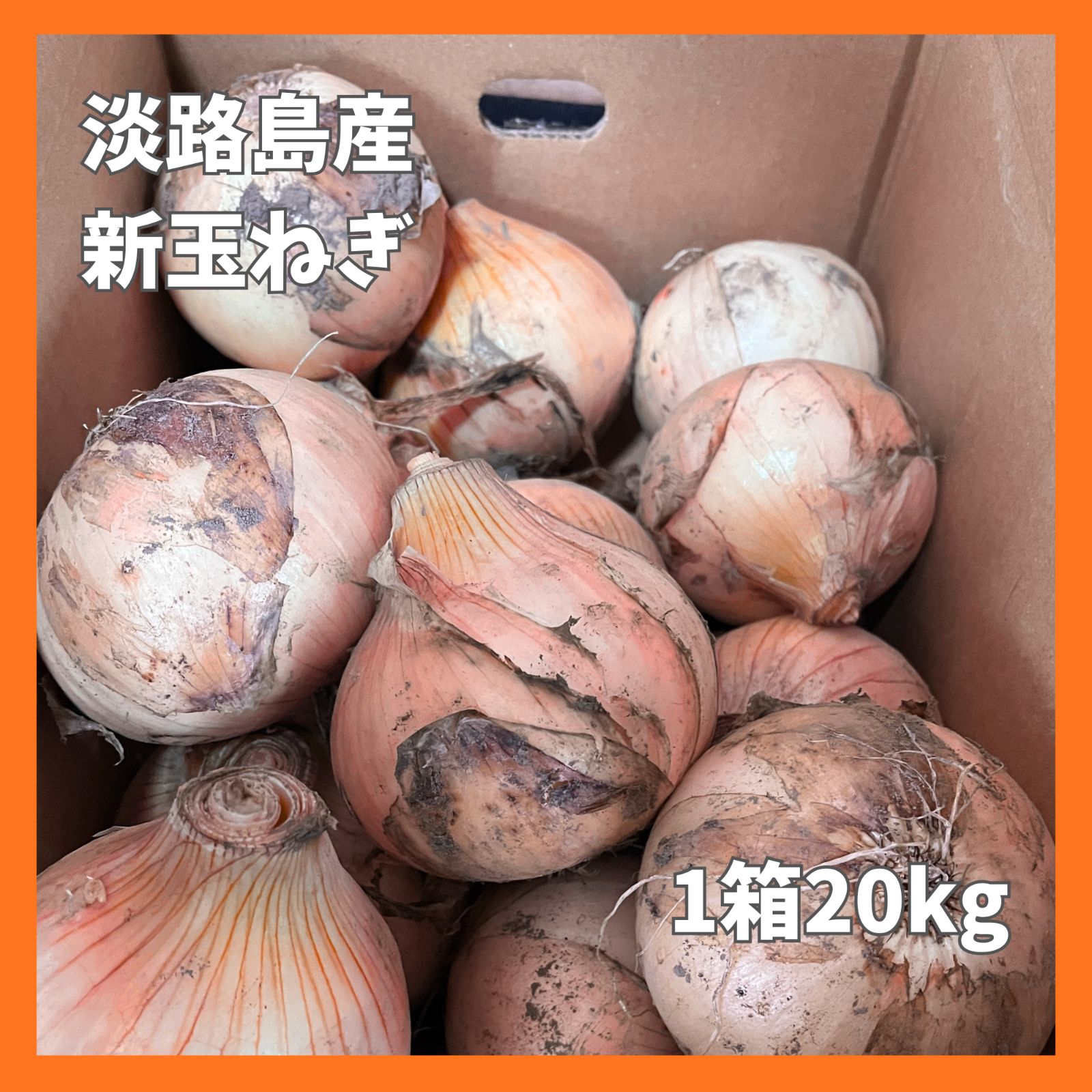 淡路島 新玉ねぎ 20kg 農家直送 甘い＊訳あり - メルカリ