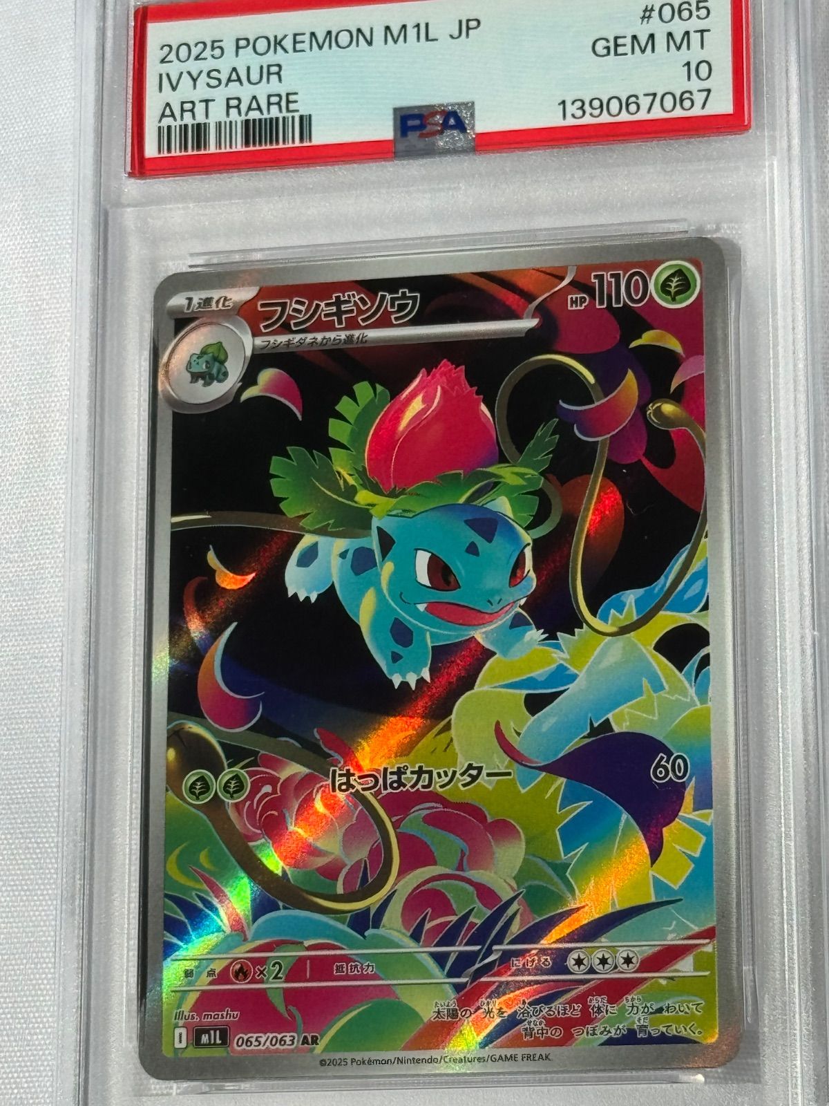 フシギソウ AR PSA10 ポケモンカード - メルカリ