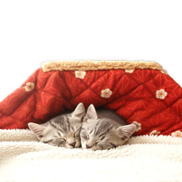 ペット用 こたつ ねこ 猫 ネコ コタツ ワンちゃん ネコちゃん 犬 いぬ