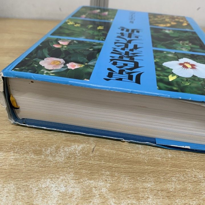 原色茶花大事典 新版 茶花大事典 | 書籍,茶道書,茶花 | 淡交社 本のオンラインショップ