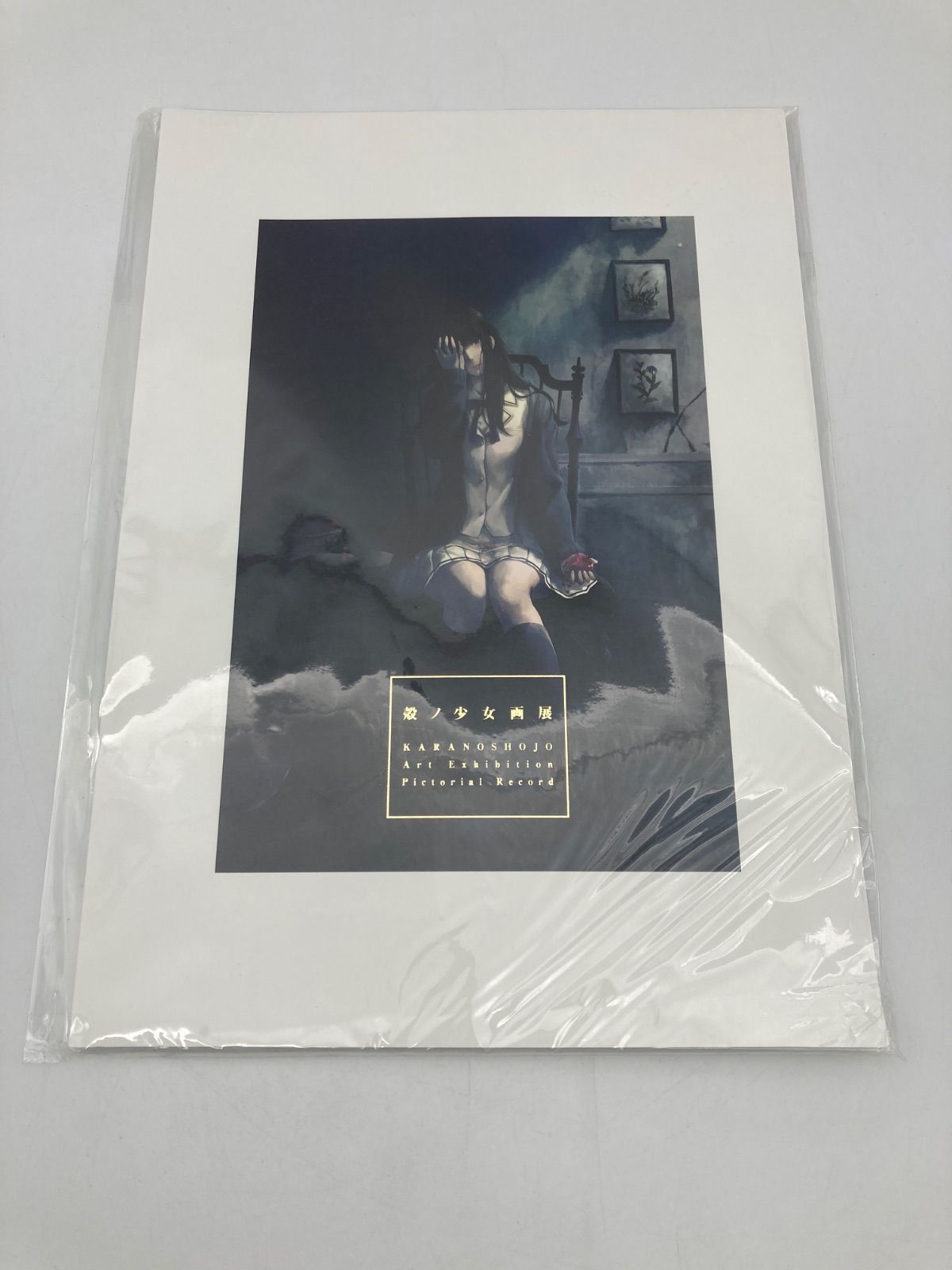 未開封品】Innocent Grey 殻ノ少女画展 公式図録 杉菜水姫 - メルカリ