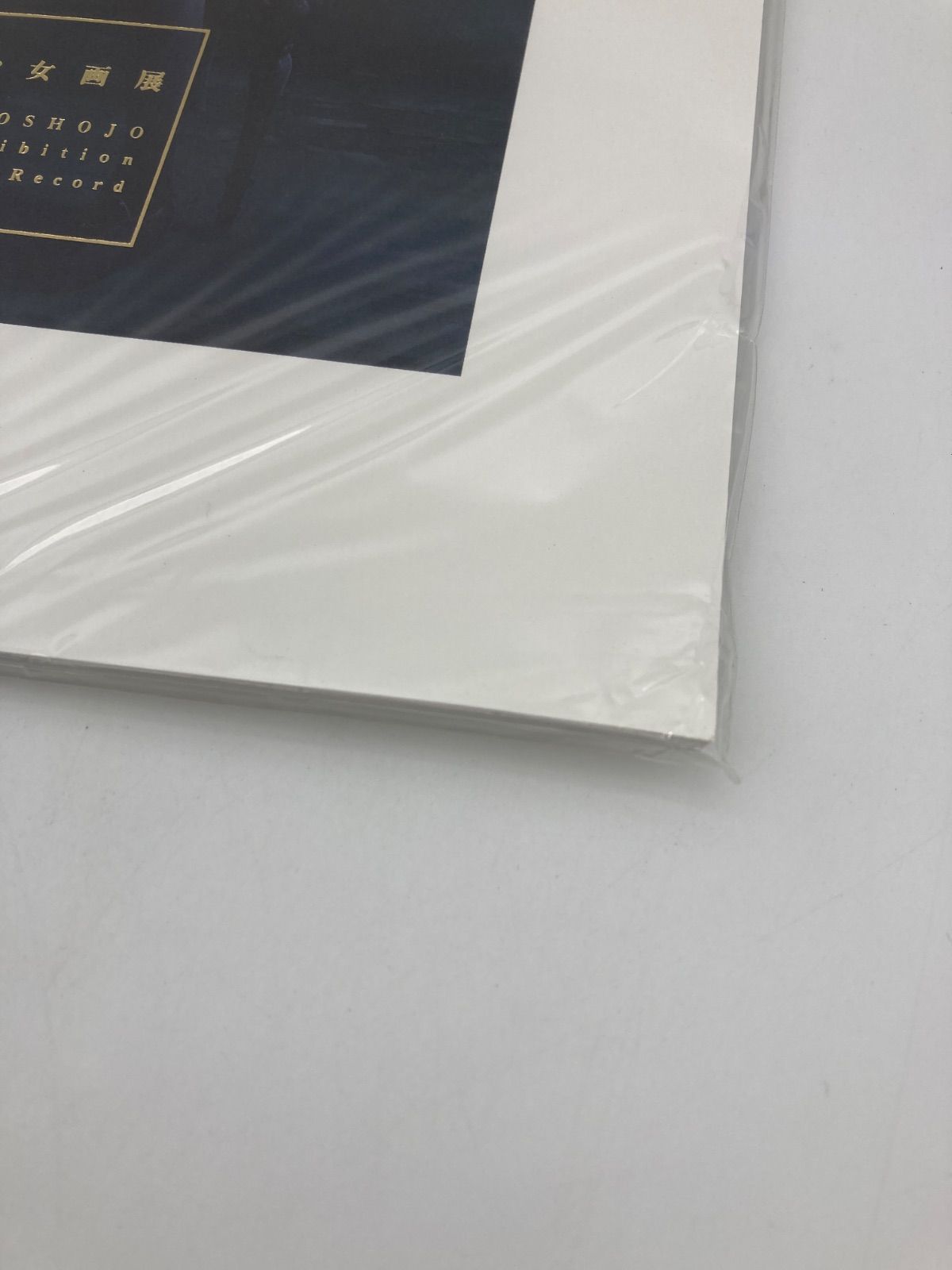 未開封品】Innocent Grey 殻ノ少女画展 公式図録 杉菜水姫 - メルカリ