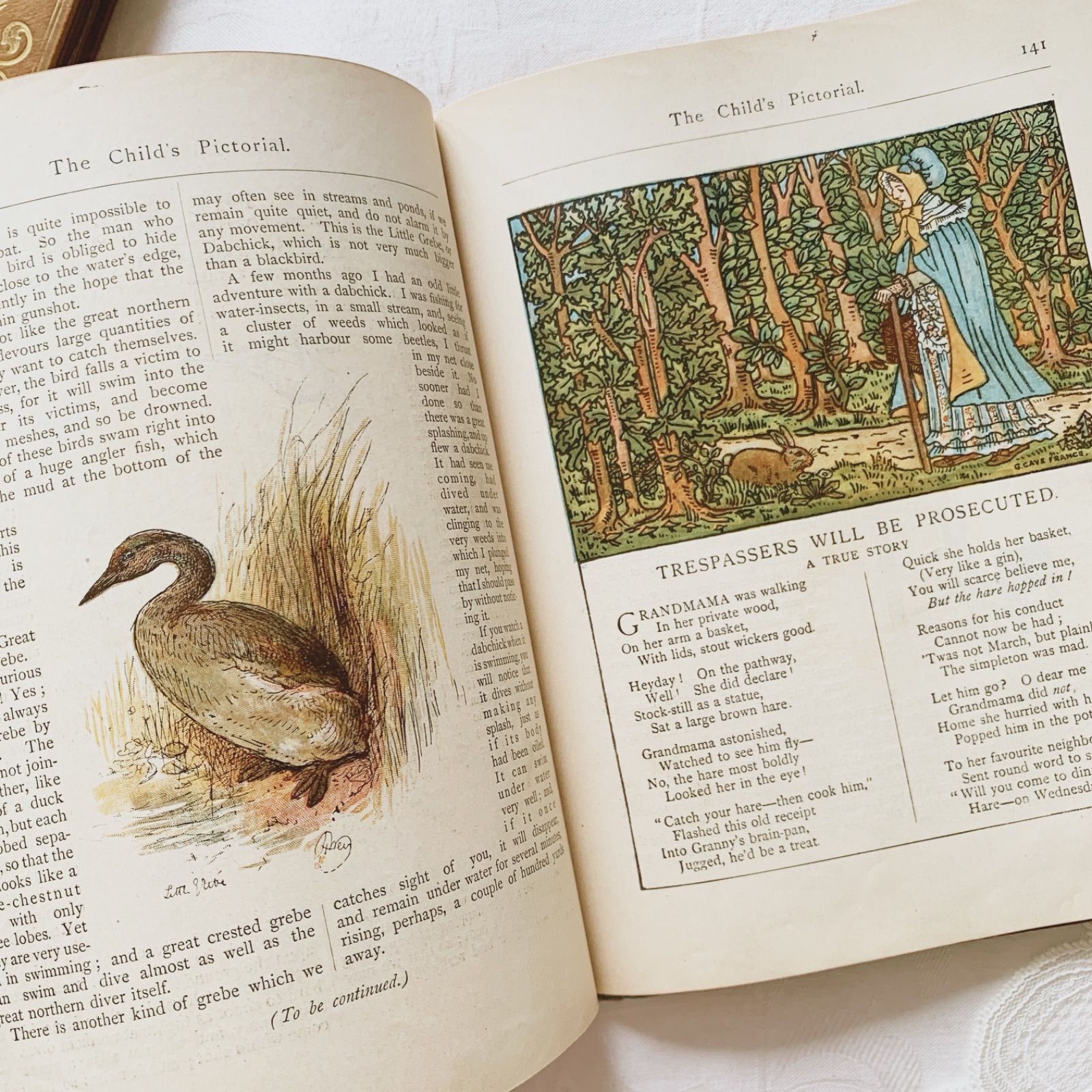 The Child's Pictorial 1893年 -豊富な挿画が貴重な 英国アンティーク