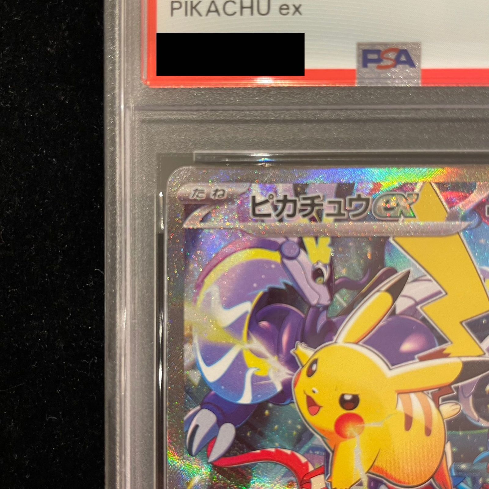 ピカチュウex 横浜記念デッキ　WCS2023 PSA10 ピカチュウ ex PSA10 横浜記念デッキプロモ WCS2023 ワールド