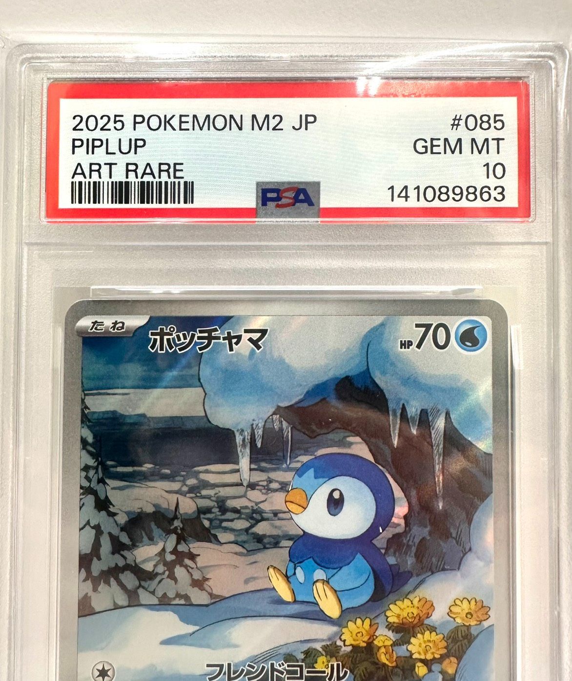 【PSA10連番】ポッチャマ S-P,ポッチャマ AR PSA10鑑定済〕ポッチャマ【AR】{085/080} 1枚の通販 カードラッシュ
