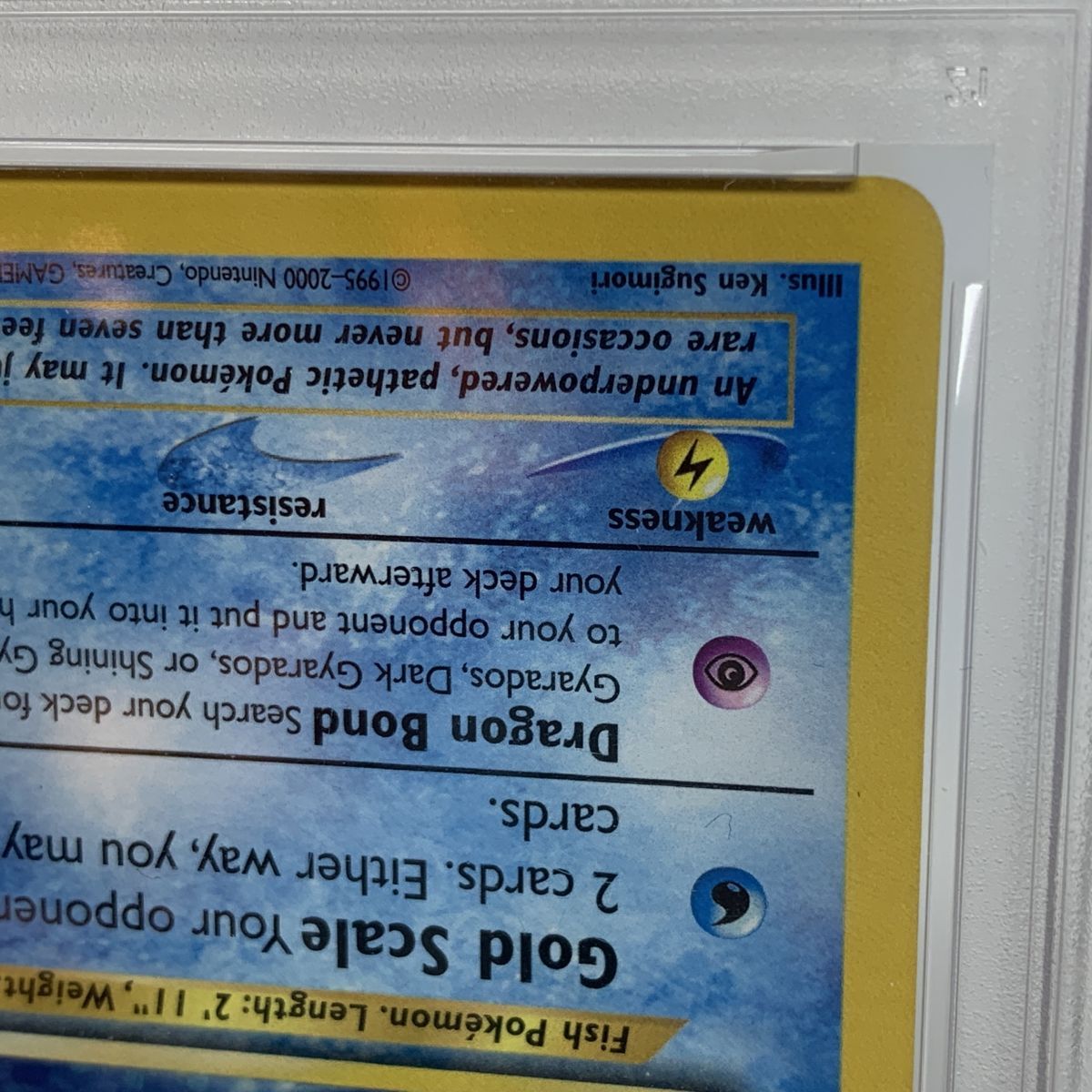PSA10】ポケモンカード Shining Magikarp ひかるコイキング 英語版 