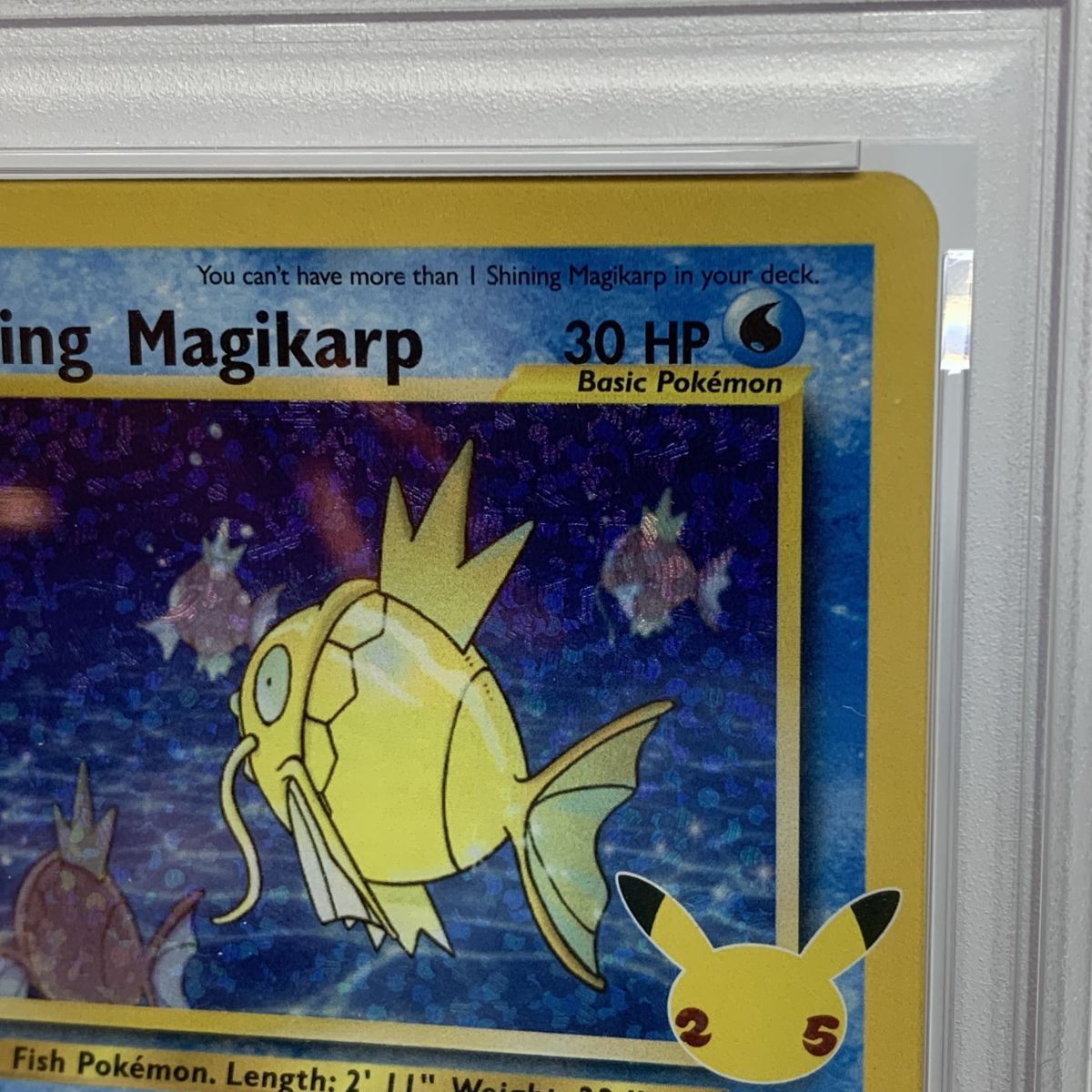 【PSA10】Shining Magikarp ひかるコイキング 英語 25th PSA10】ポケモンカード Shining Magikarp ひかるコイキング 英語版
