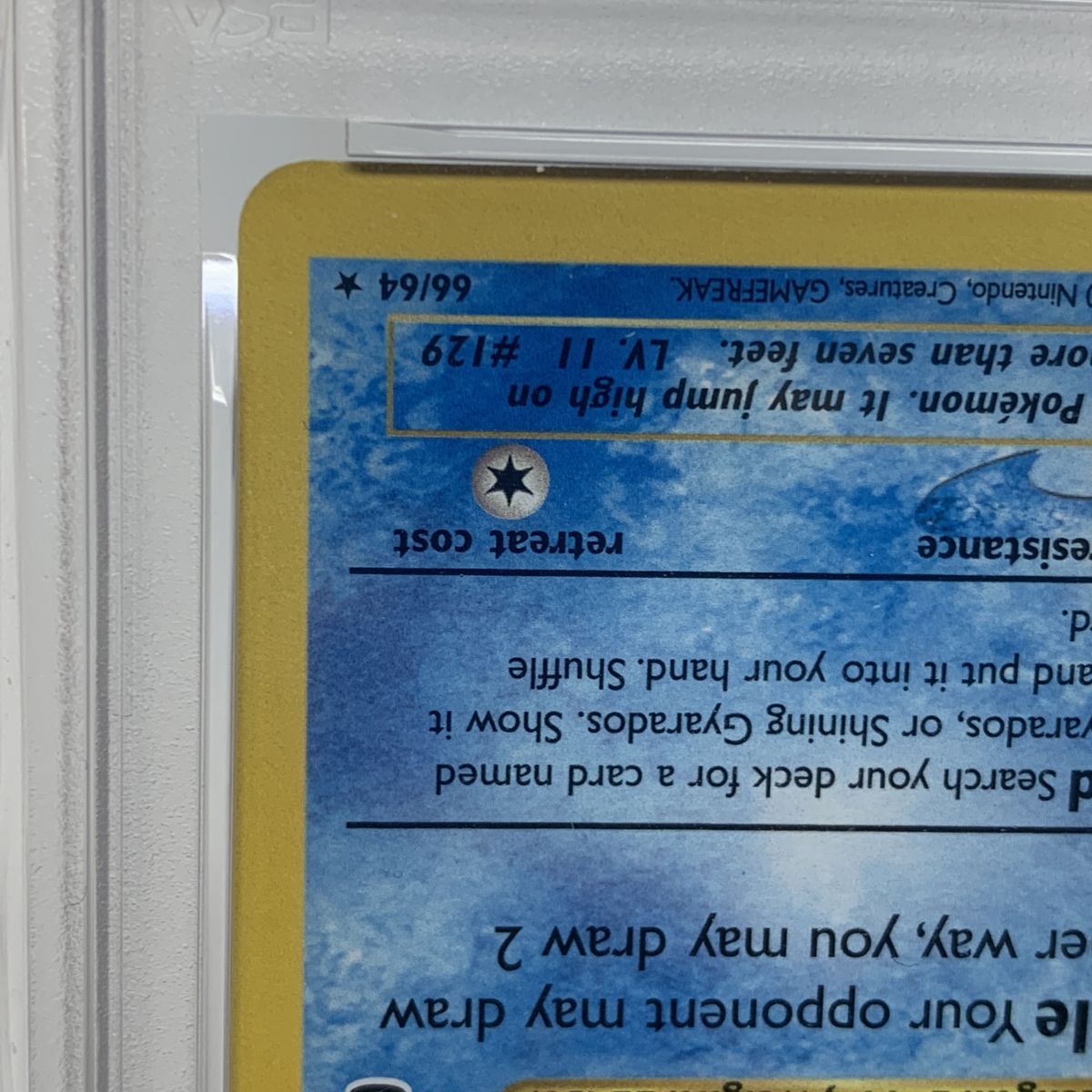 【PSA10】Shining Magikarp ひかるコイキング 英語 25th PSA10】ひかるコイキング (25th) PROMO PROMO 010/025 1枚の通販 土日