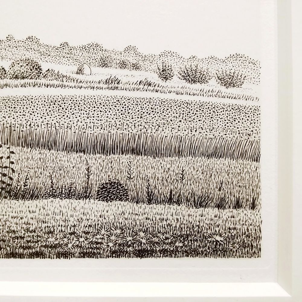 長谷川潔 『長谷川潔の肖像』より 若木 1963年 銅版画 オー・フォルト