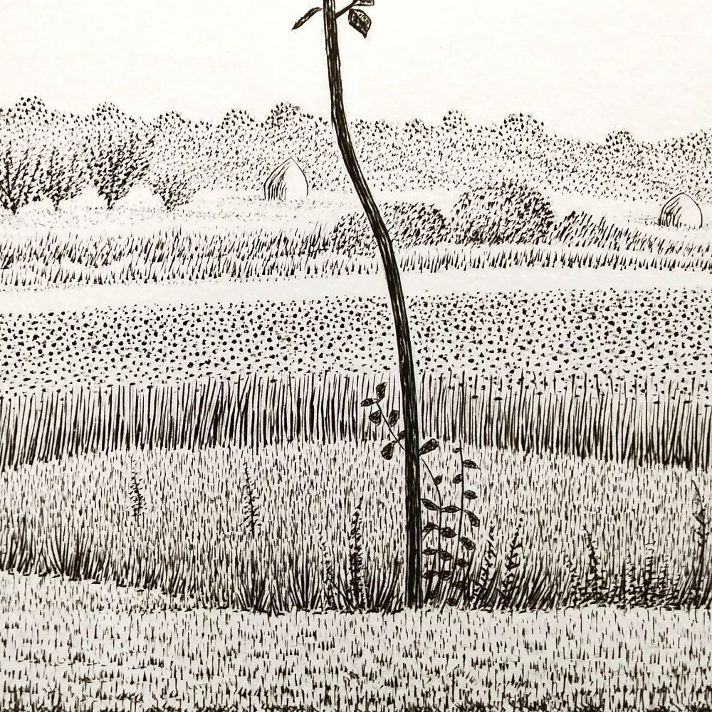 長谷川潔 『長谷川潔の肖像』より 若木 1963年 銅版画 オー・フォルト