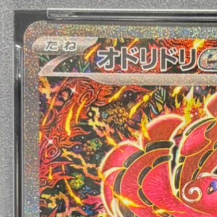 PSA10】オドリドリex SAR 111/080 1枚 - メルカリ