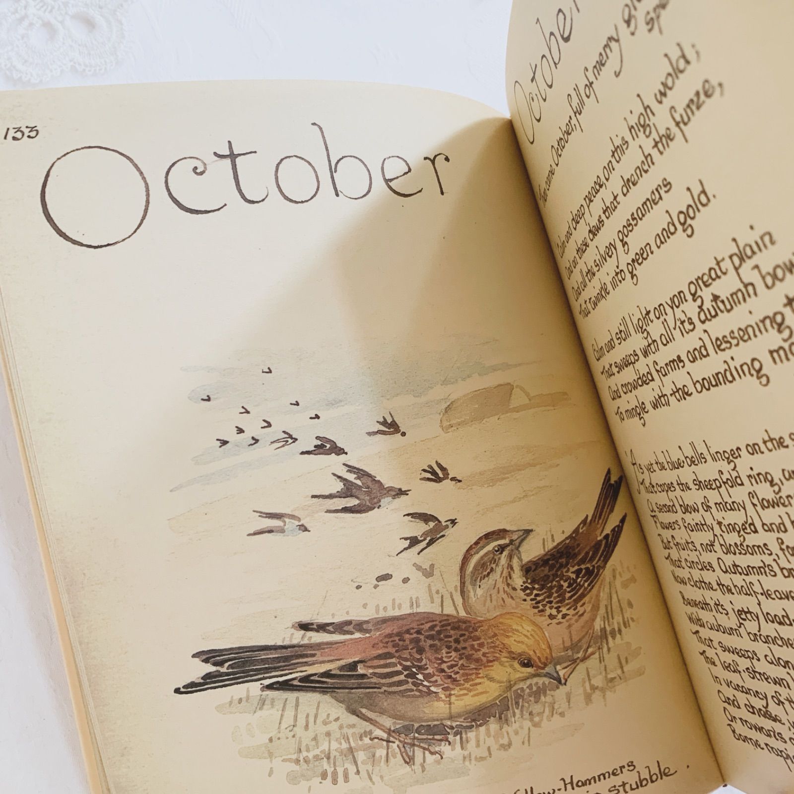 1978年 イギリス洋書 イーディス・ホールデンの美しいカントリー