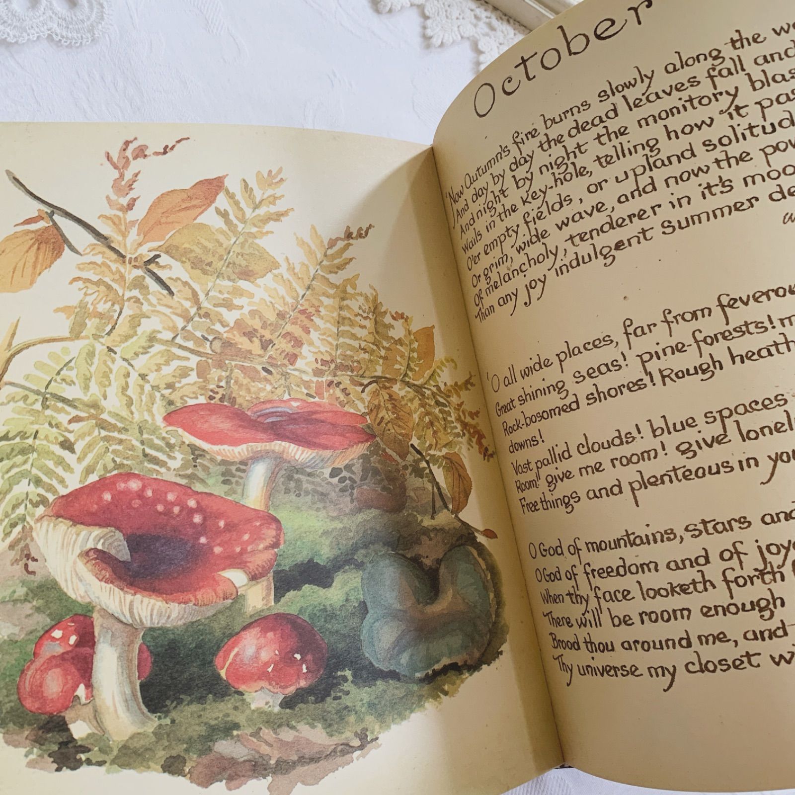 1978年 イギリス洋書 イーディス・ホールデンの美しいカントリー