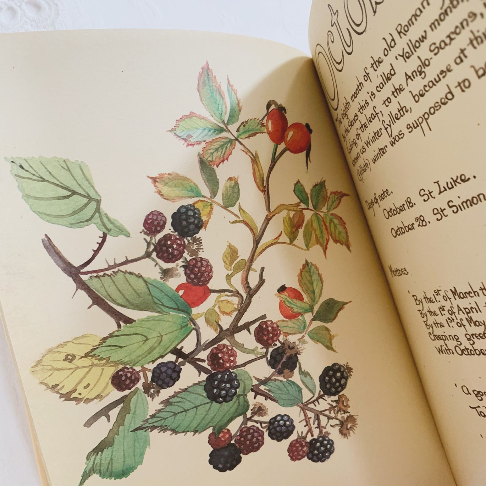 The Country Diary of an Edwardian Lady: Holden, Edith 1978年