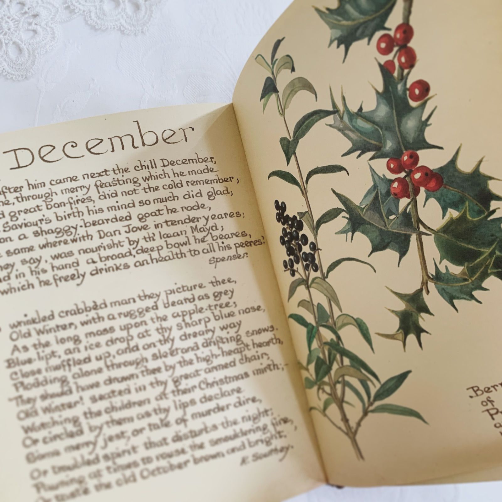 1978年 イギリス洋書 イーディス・ホールデンの美しいカントリー