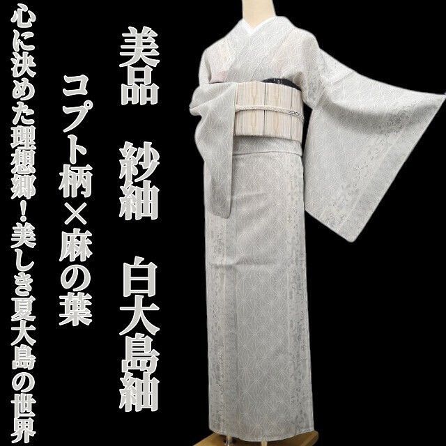 ❁tomihisa❁美品 紗紬 コプト柄×麻の葉 夏着物“心に決めた理想郷