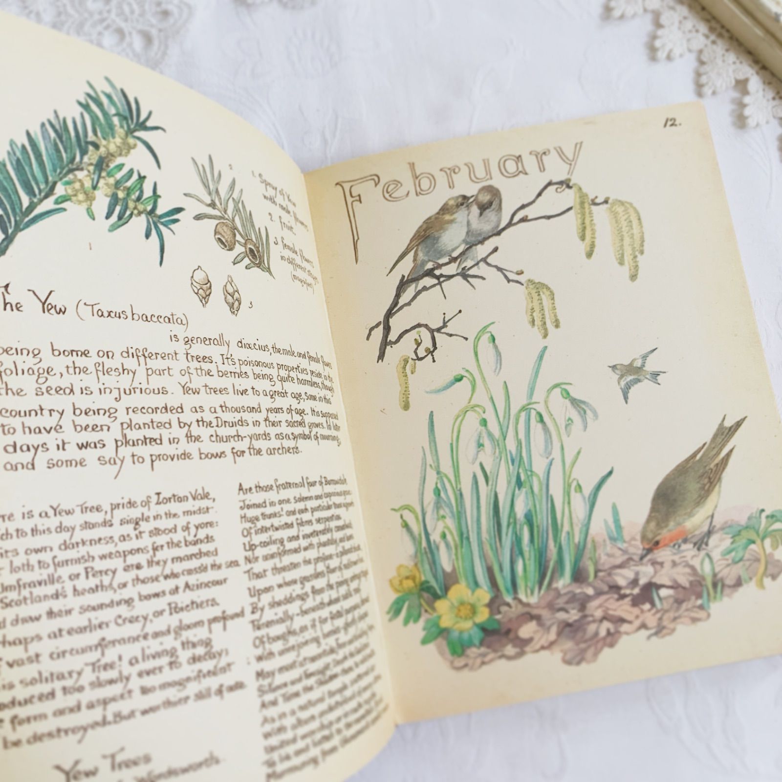 The Country Diary of an Edwardian Lady: Holden, Edith 1978年