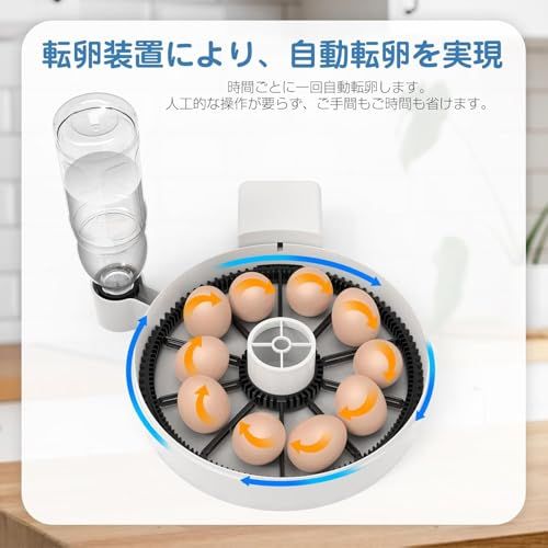 LifeBasis インキュベータ 孵卵器 1回使用 LifeBasis孵卵器 孵化器 自動孵卵器 インキュベーター 自動恒温機 恒温