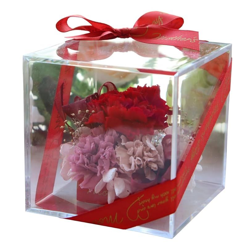 【新品】 IPFA プリザーブドフラワー シュシュ アクリル BOX(母の日モデル/レッドカーネーション)母の日 花 ギフト(誕生日 結婚祝い 退職祝い 還暦)カーネーション プレゼント お祝い 1