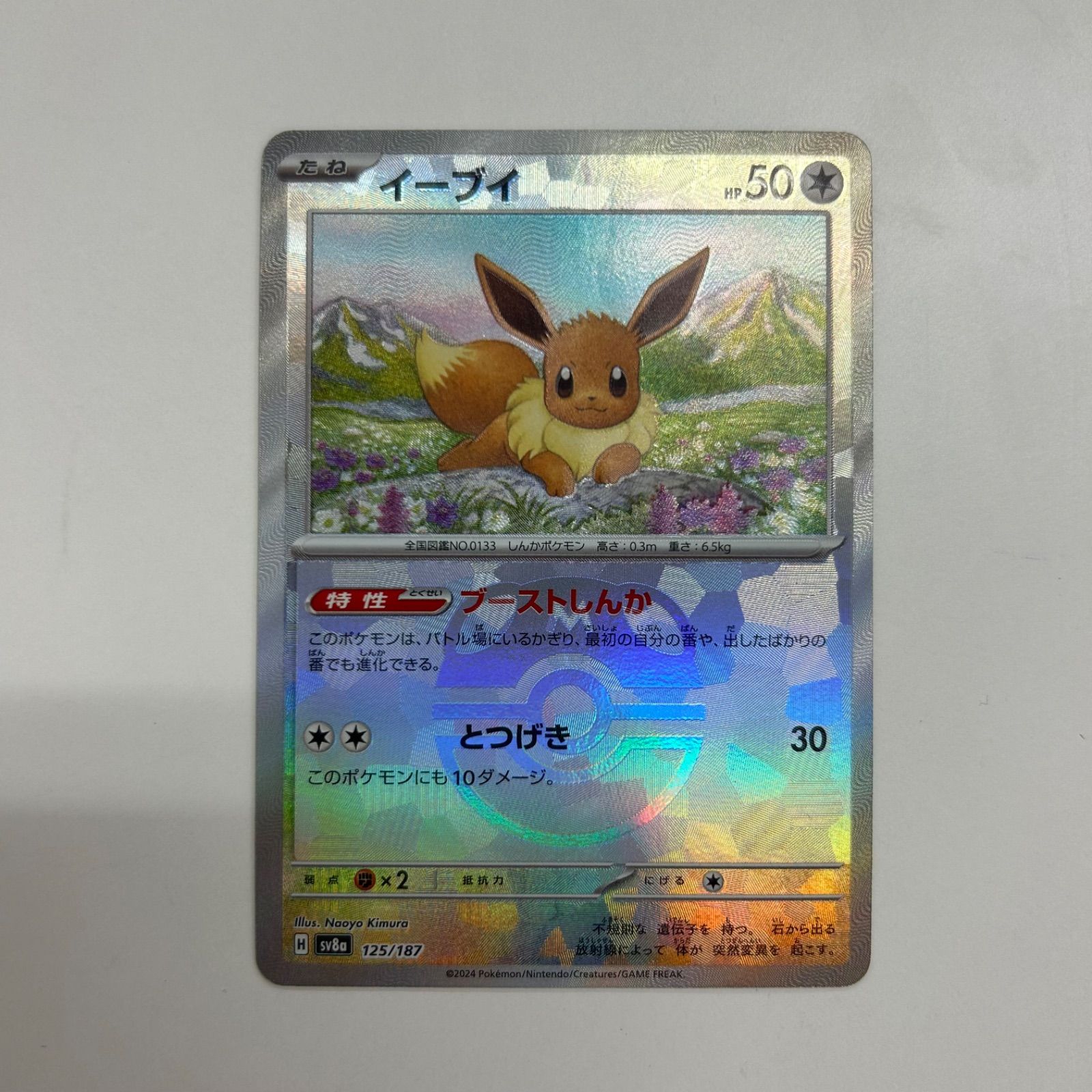 イーブイ マスターボールミラー イーブイ PSA10 イーブイ マスター