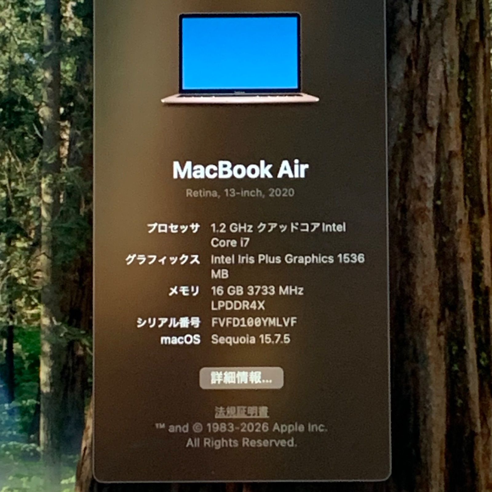 【箱付美品】MacBook Air 2020年 ローズゴールド パソコンPC 楽天市場】macbook ローズゴールド（ノートPC｜パソコン）：パソコン